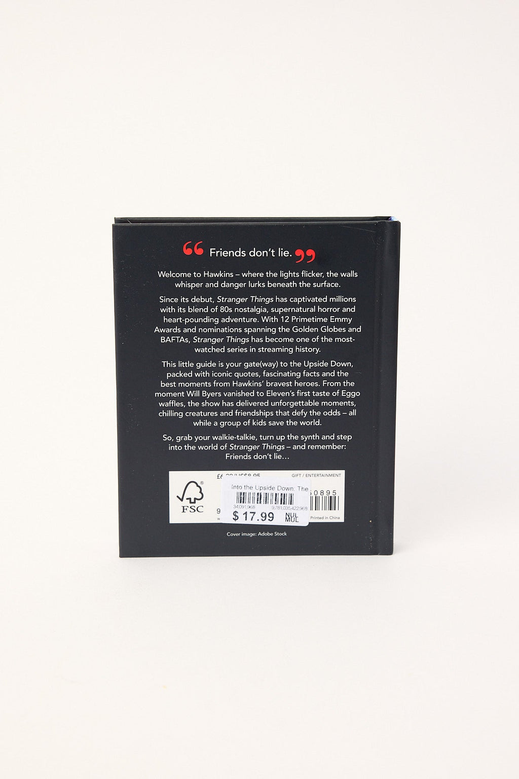 Into the Upside Down: The Little Guide to Stranger Thin Multi